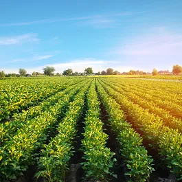 Agriculture, Farming and Industrial Remote IOT Use Cases and Applications